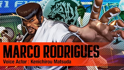 MARCO RODRIGUES